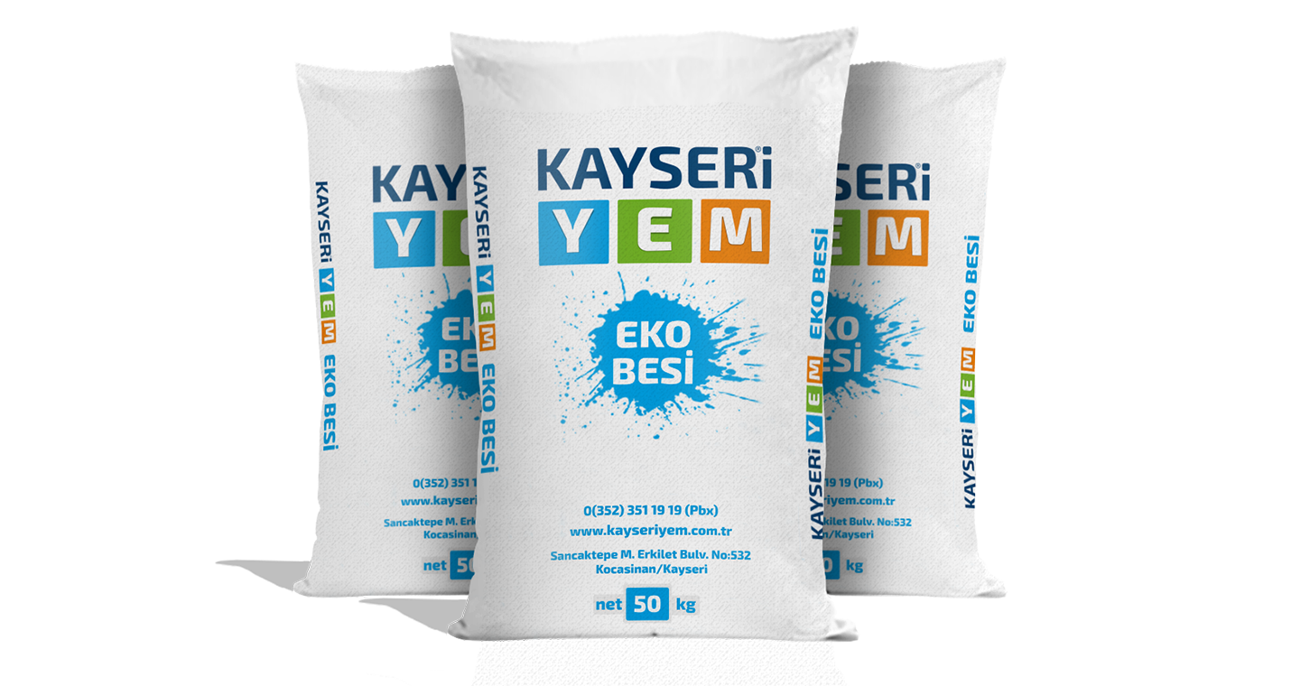 Eko Besi Yemi